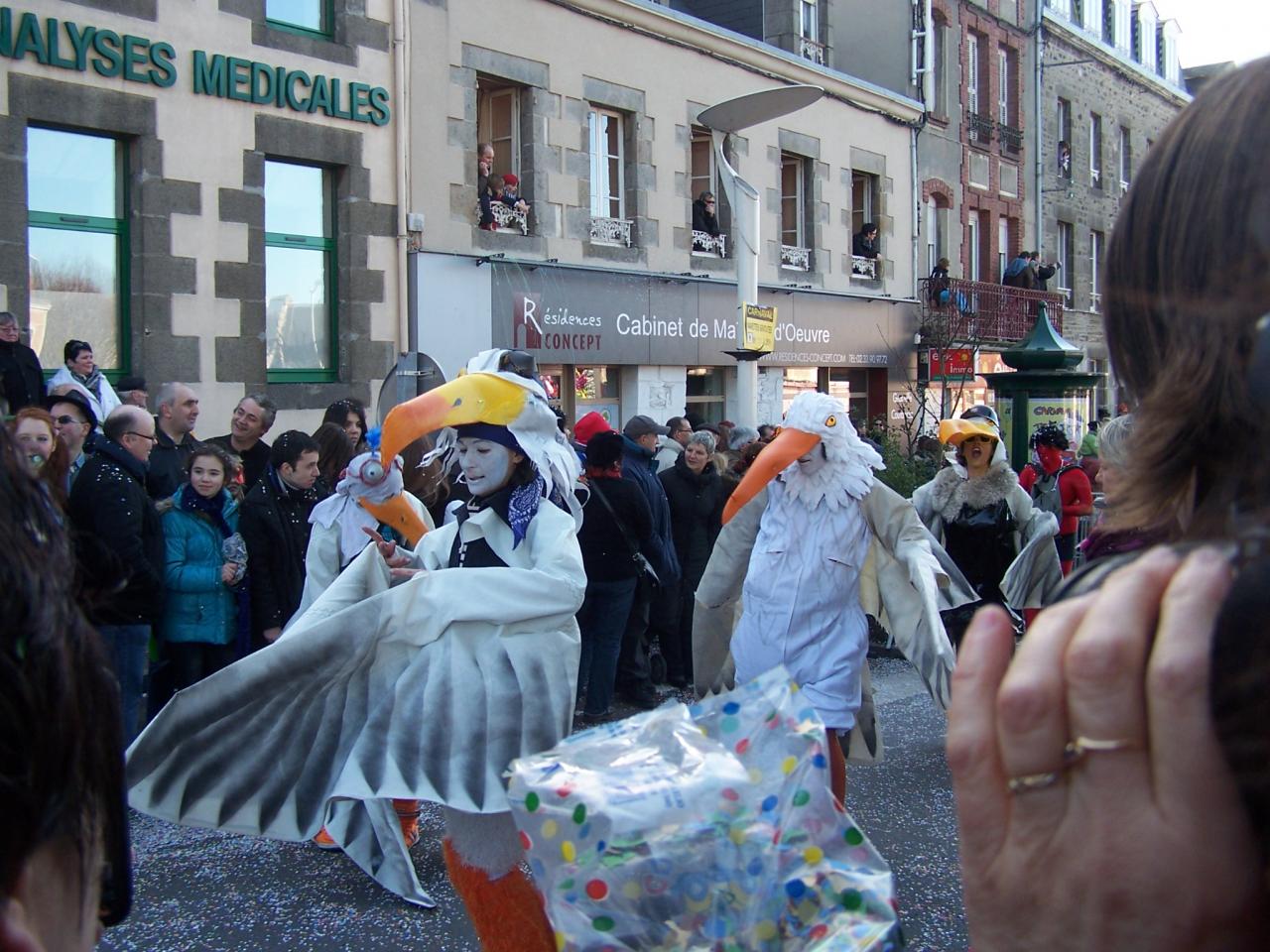 les mouettes de Granville